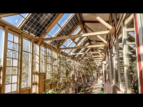Ventajas de las casas pasivas en diseño bioclimático