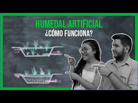 Viviendas sostenibles: reciclaje de aguas