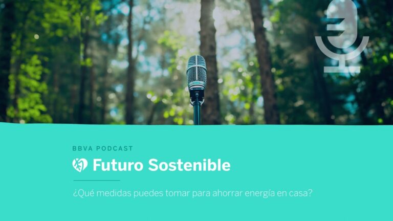 Construyendo hogares sostenibles con eco-aislamiento