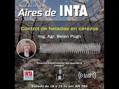 Protección térmica: defensa eficaz contra cambios de temperatura